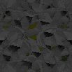 TXTR0704.GIF