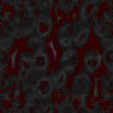 TXTR0699.GIF