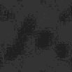 TXTR0693.GIF