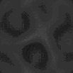TXTR0688.GIF