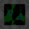 TXTR0686.GIF