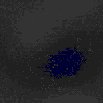 TXTR0674.GIF