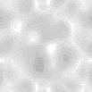 TXTR0463.GIF