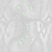 TXTR0454.GIF