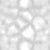 TXTR0424.GIF