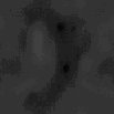 TXTR0400.GIF