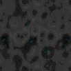 TXTR0398.GIF