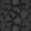 TXTR0372.GIF