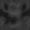 TXTR0366.GIF