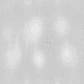 TXTR0351.GIF