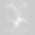 TXTR0349.GIF