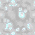 TXTR0348.GIF