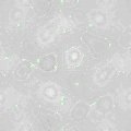 TXTR0345.GIF