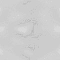 TXTR0333.GIF
