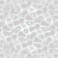 TXTR0323.GIF