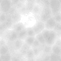 TXTR0317.GIF