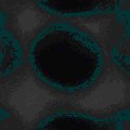 TXTR0312.GIF