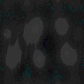 TXTR0304.GIF