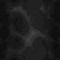 TXTR0302.GIF