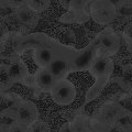 TXTR0291.GIF