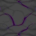 TXTR0284.GIF