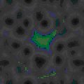 TXTR0273.GIF