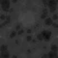 TXTR0268.GIF