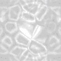 TXTR0221.GIF