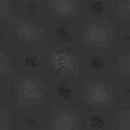 TXTR0214.GIF