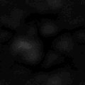 TXTR0213.GIF