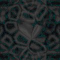 TXTR0171.GIF