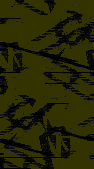TXTR0117.GIF