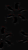 TXTR0044.GIF