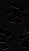 TXTR0039.GIF