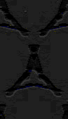 TXTR0009.GIF