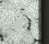 GMARB016.GIF