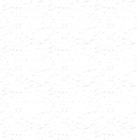 013.GIF