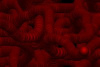 WORMS5.GIF