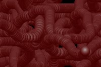 WORMS10.GIF