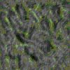TXTR3992.GIF