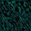 TXTR3989.GIF