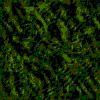 TXTR3987.GIF