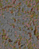 TXTR3983.GIF