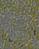TXTR3982.GIF