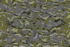 TXTR3961.GIF