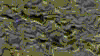 TXTR3907.GIF