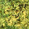 TXTR3854.GIF