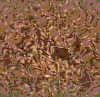 TXTR3747.GIF