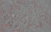 TXTR3739.GIF