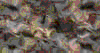 TXTR3731.GIF